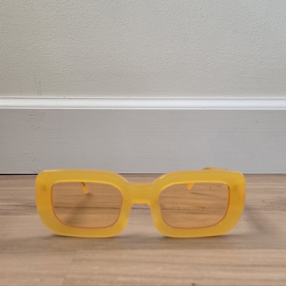 poppy lissiman | chesko | rounded rectangle sunglasses | tinted lenses